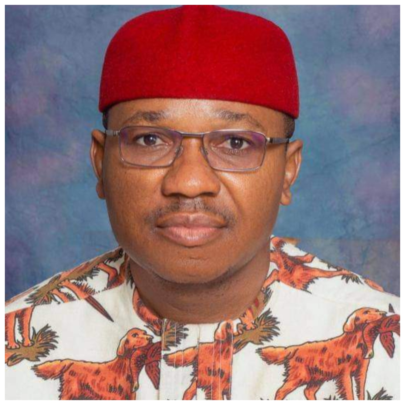 Ugochukwu Collins Iheonunekwu