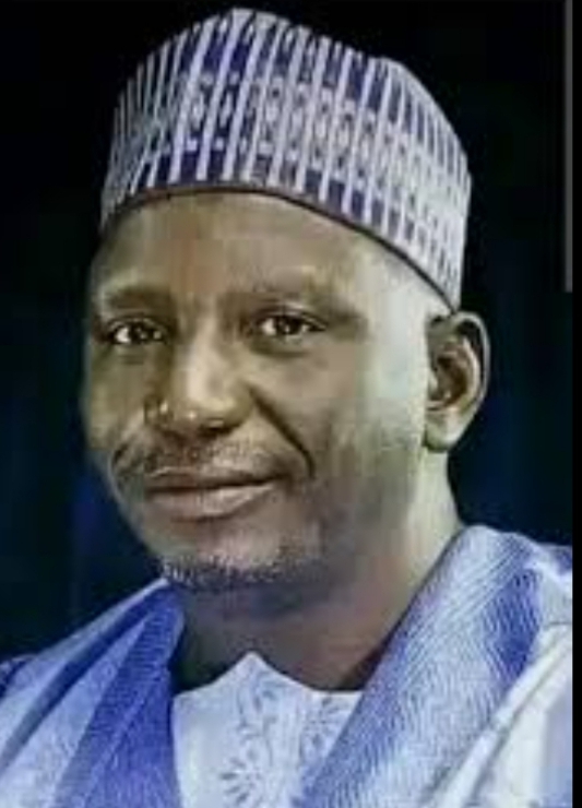 Sama'ila Salisu Bui