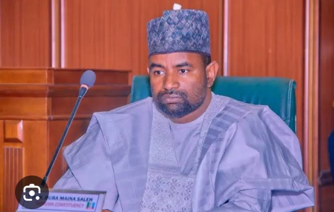 Buba Maina Saleh