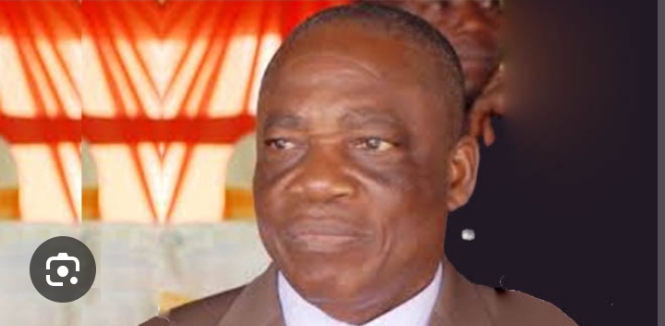 Ali Olanusi