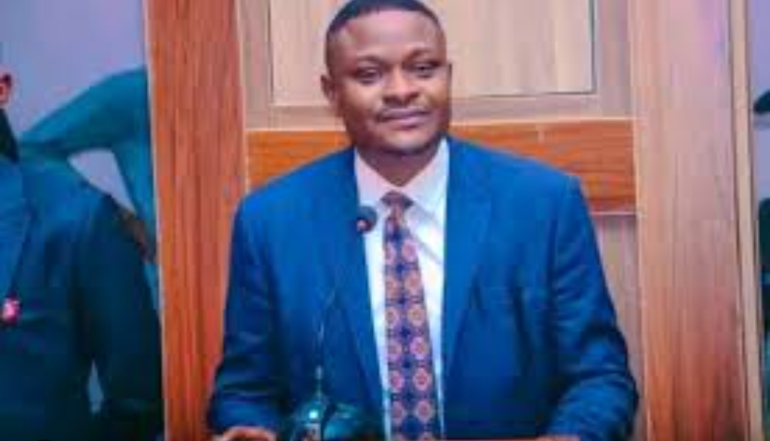 David Moyi