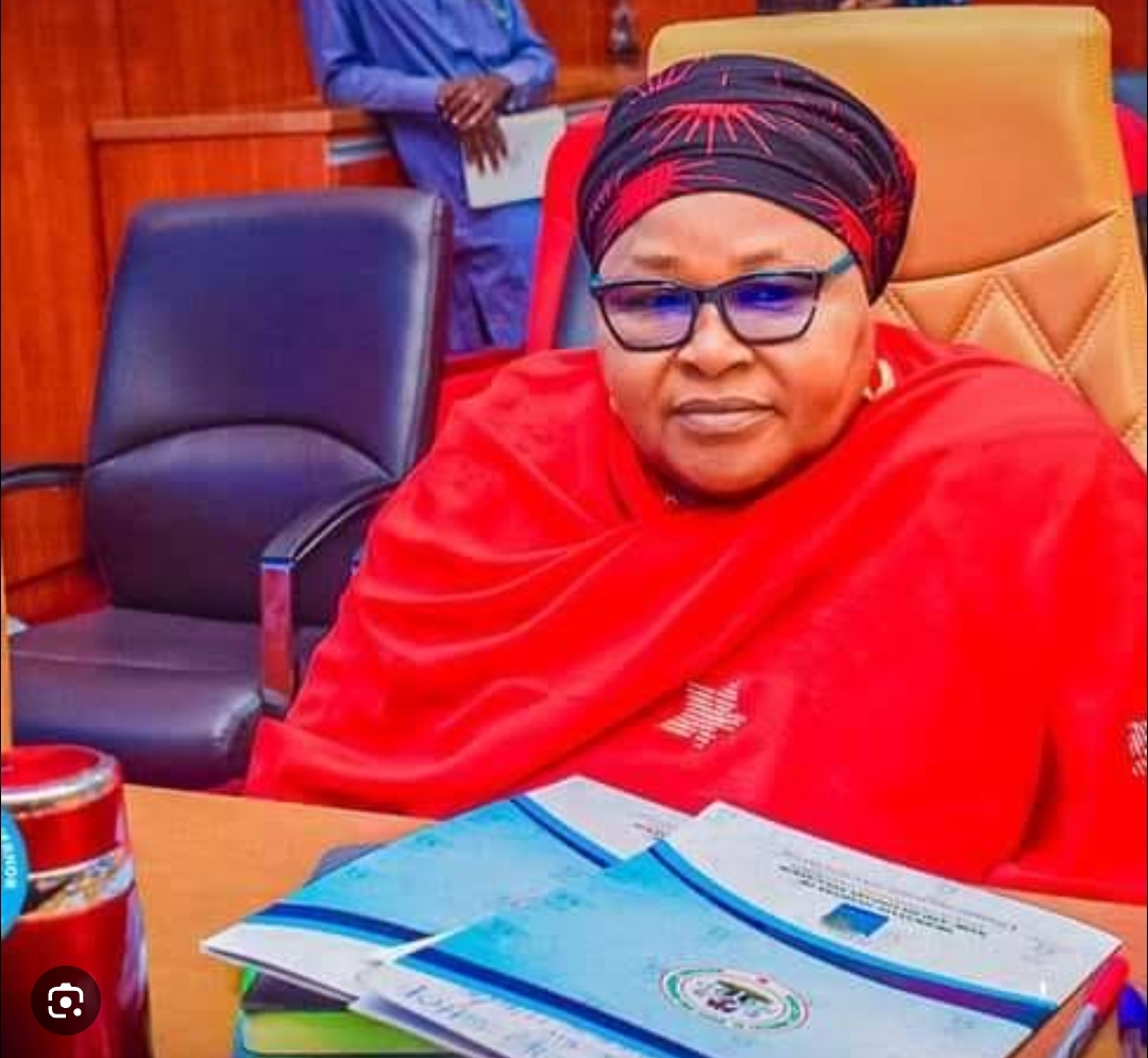 Hadiza Asabe Mohammed
