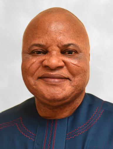 Ifeanyi Godwin Ararume