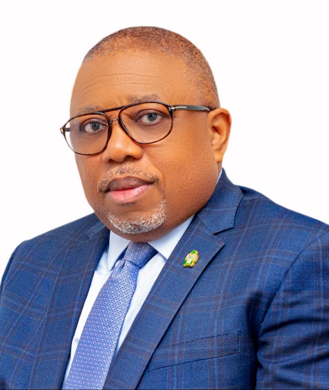 Philip Chukwuemeka Ikeazor cover