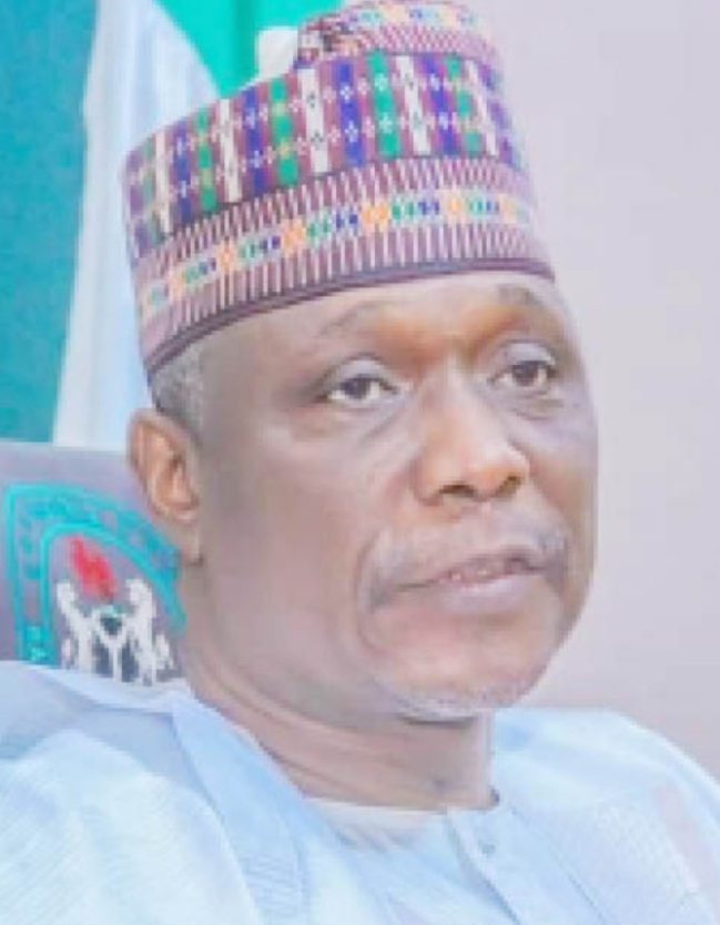 Kawuwa  Shehu  Damina cover