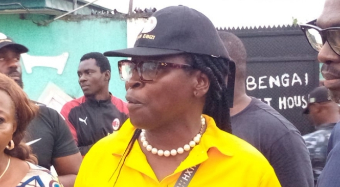 Ebizi Rosemary Brown Ndiomu cover