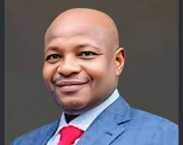 Adeola Oluwatosin Ajayi cover